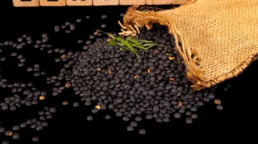 Black lentils (Beluga)